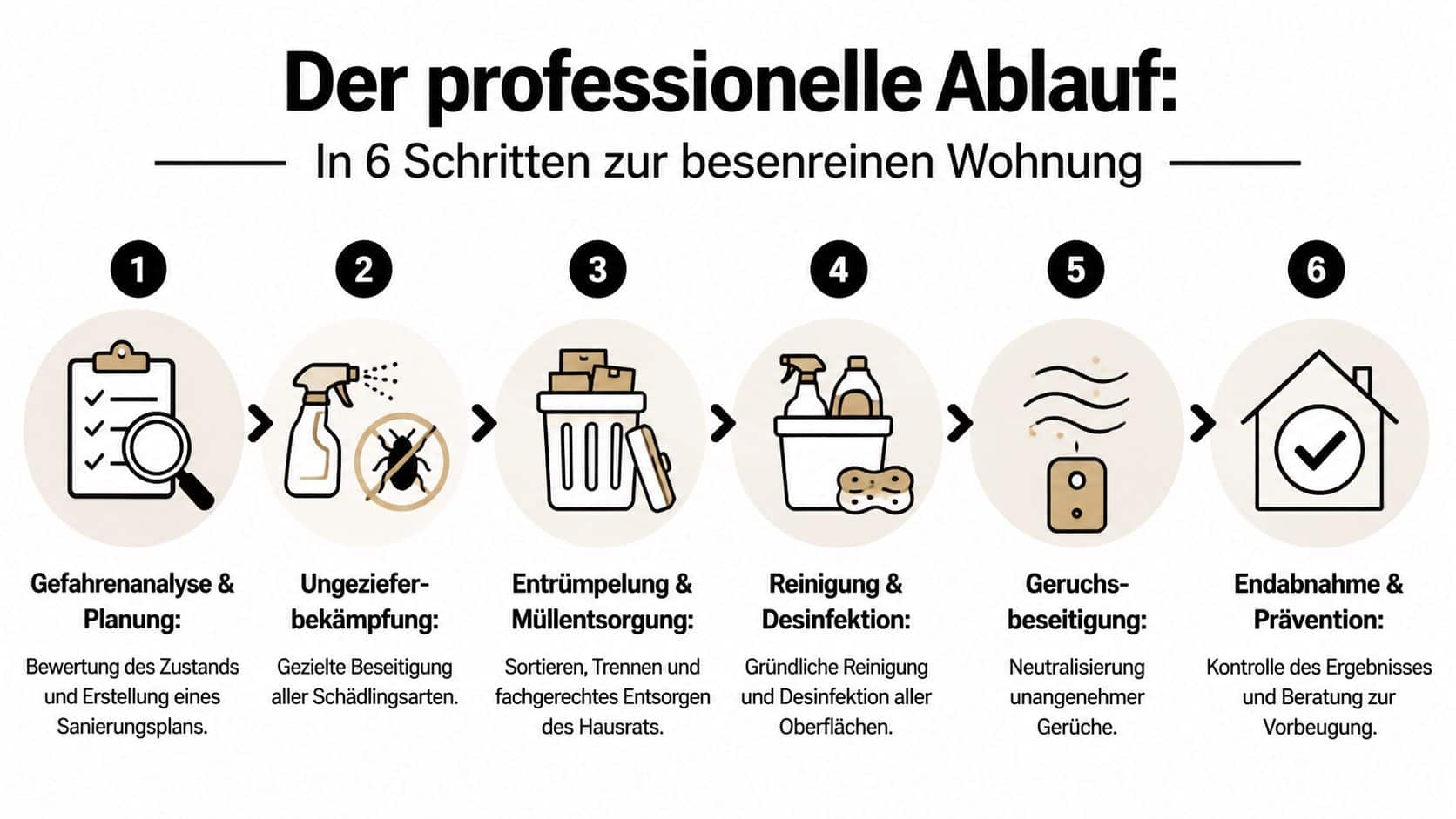 Eine sechsstufige Infografik zum professionellen Ablauf einer Wohnungsentrümpelung von der Gefahrenanalyse bis zur abschließenden Reinigung und Prävention.